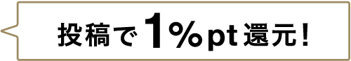 レビュー投稿で10%ポイント還元