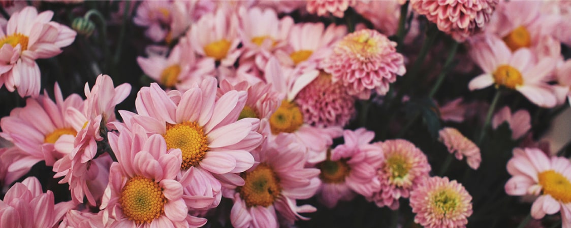 Floral Note
